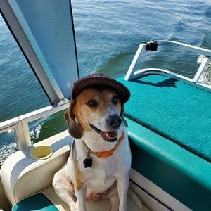 Meet your Posher, Georgia